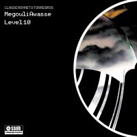 Megouli Awasse / Level 10