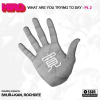 What are you trying to say - Part 2 - incl. Shur-I-Kan and Rochdee mixes